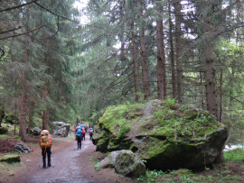 Des randonneurs dans une sentier