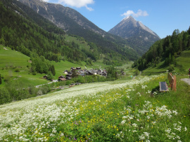 Un village dans une vallée