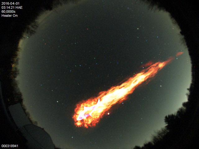 Photo d'une météorite
