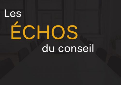 Affiche Les échos du conseil