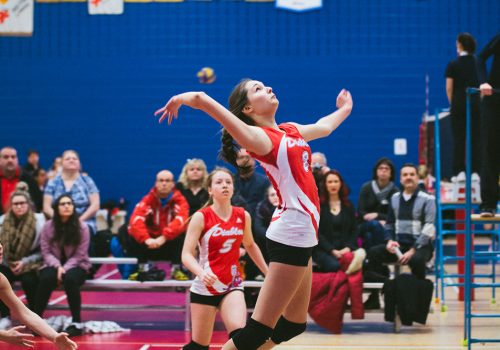 Joeuses volleyball Diablos et l'assistance