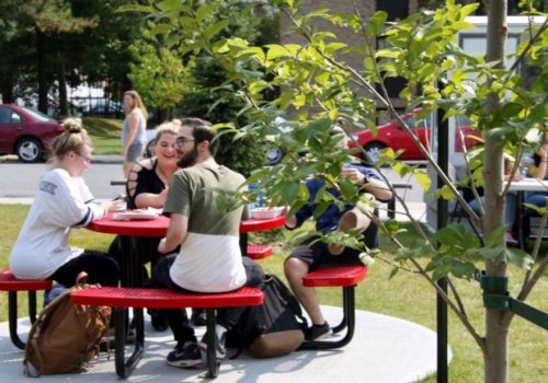 Quatre étudiants lunchent sous le soleil au cégep TR