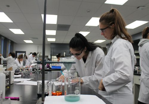 Un groupe d'étudiants qui travaillent dans un laboratoire de chimie