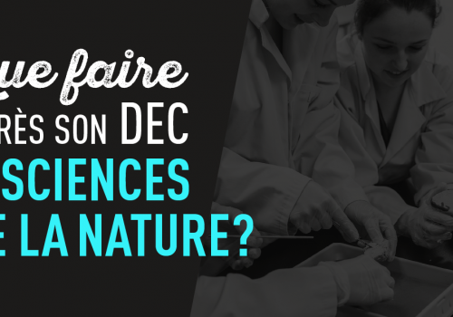 Image Que faire après son DEC en Sciences de la nature?