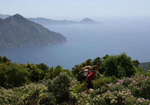 Une étudiante dans une montagne en fleurs avec vue sur la mer