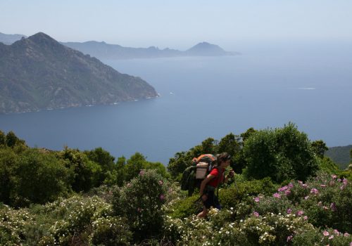 Une étudiante dans les montagnes fleuries de la Corse - en contre-bas la mer