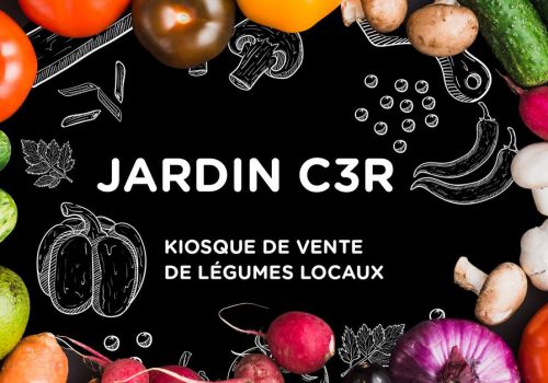 Image Jardin C3R - Photo de légumes variés