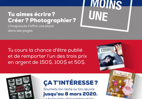 Affiche Concours Littérature 2020