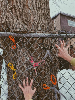 Photo philo - Arbre et clôture avec des ciseaux