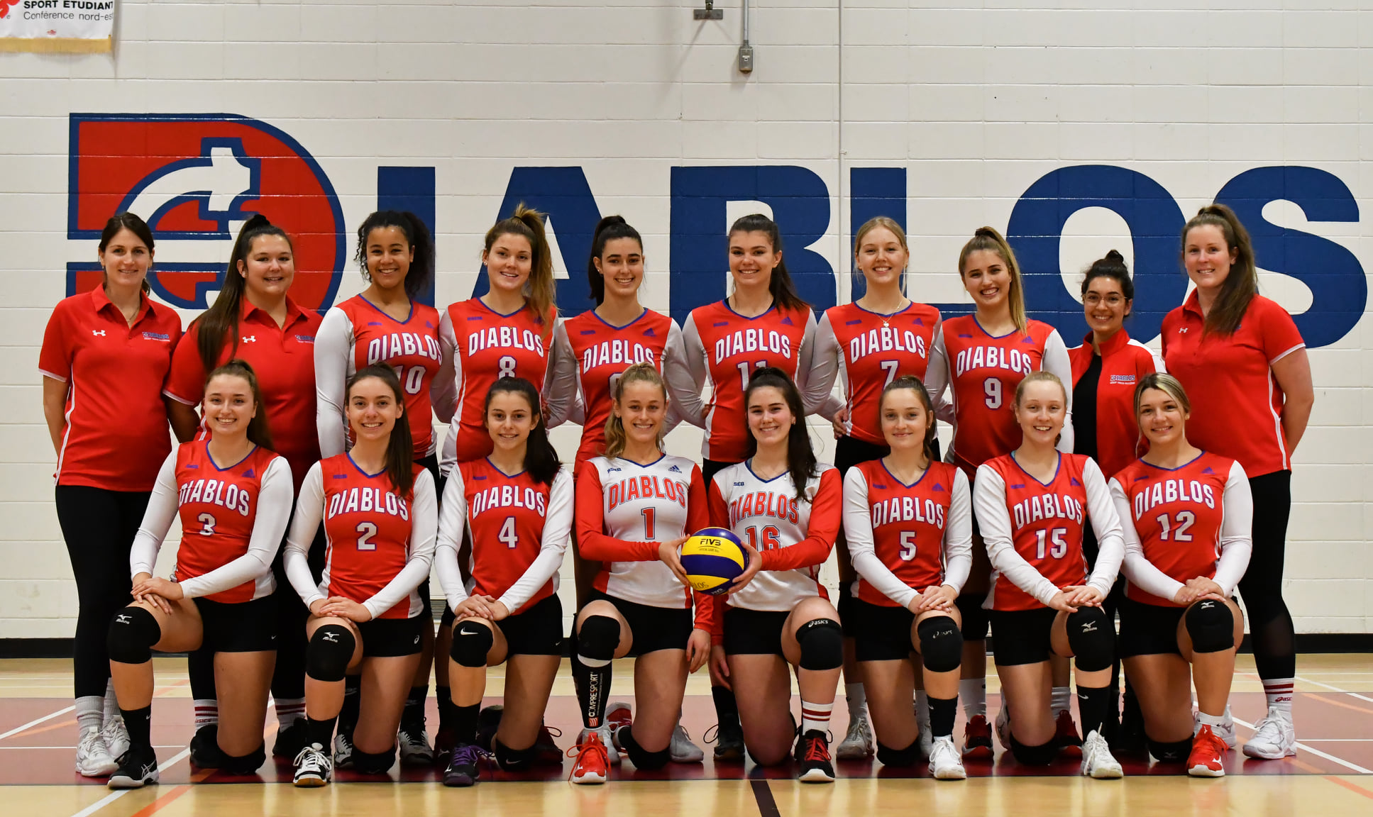 Diablos Volleyball FD2
