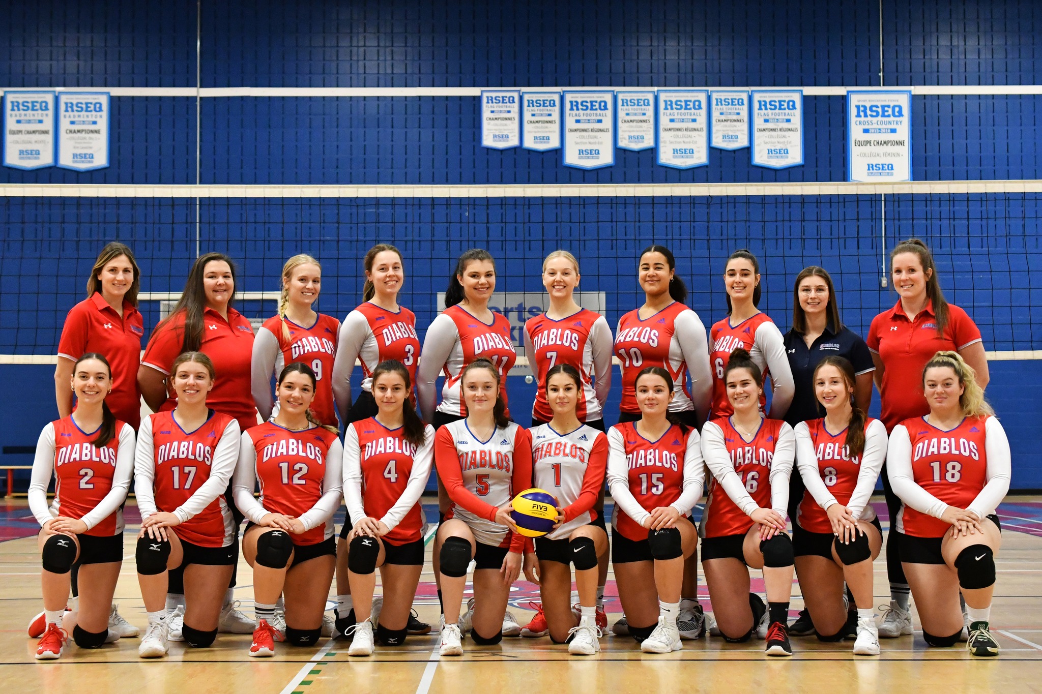 Volleyball féminin d2