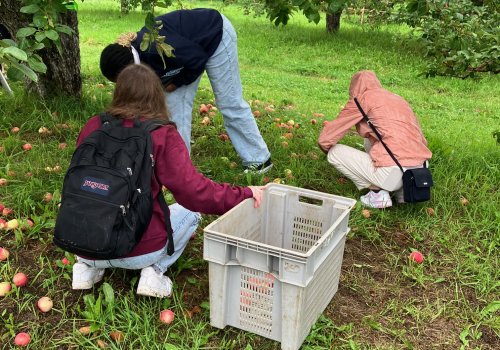 3 élèves de Diététique qui ramassent des pommes