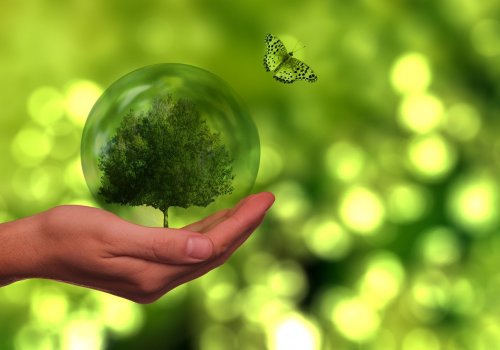 Main qui porte un arbre dans un globe