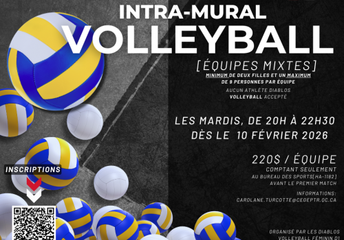Ligue de volleyball