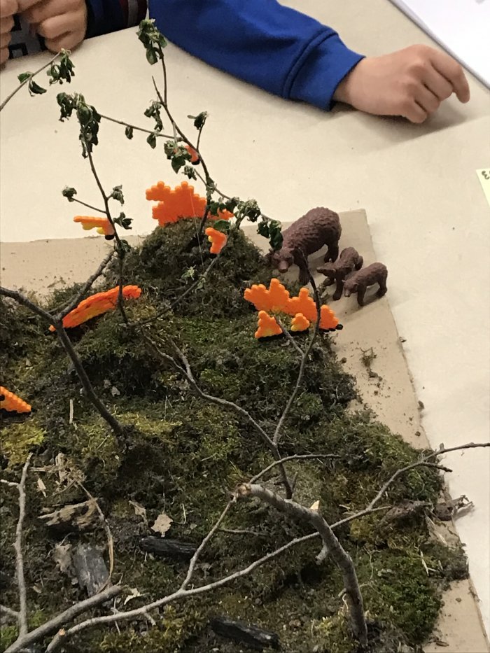 Projet en Sciences humaines